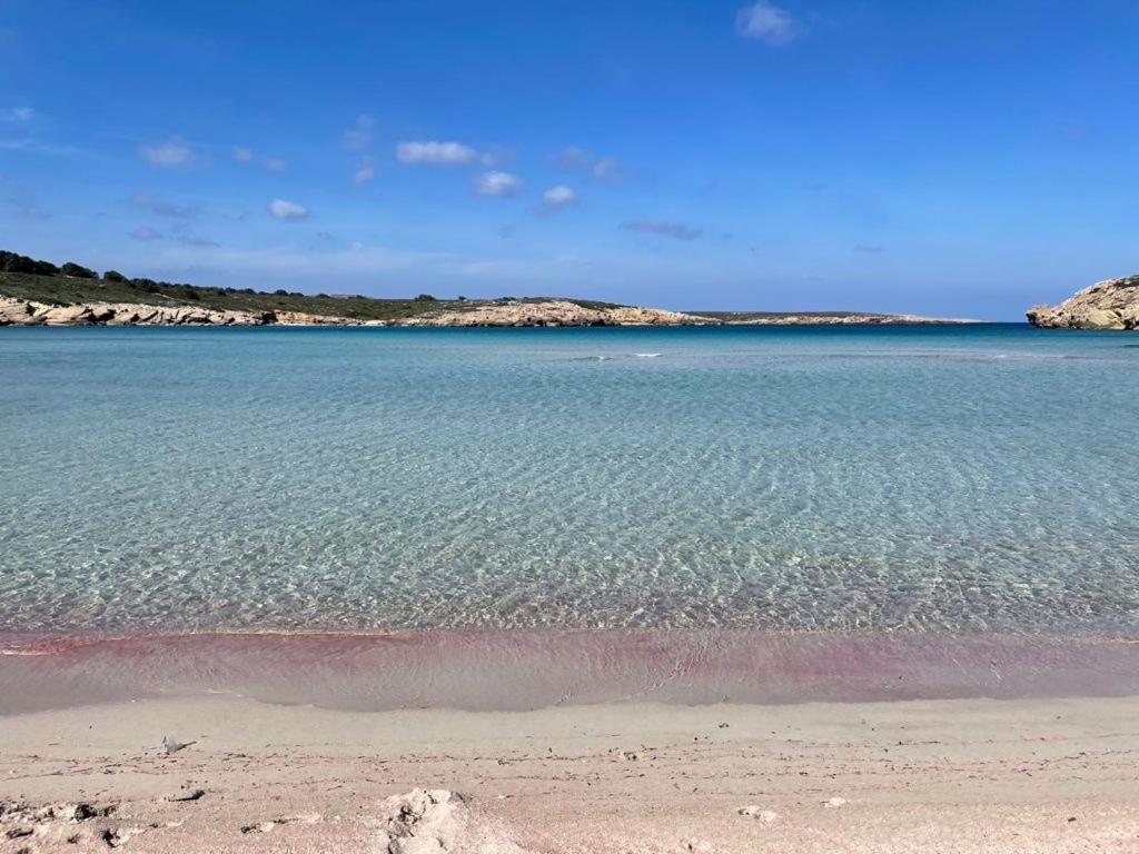 Apartamento Brisa De Menorca Son Parc Bagian luar foto